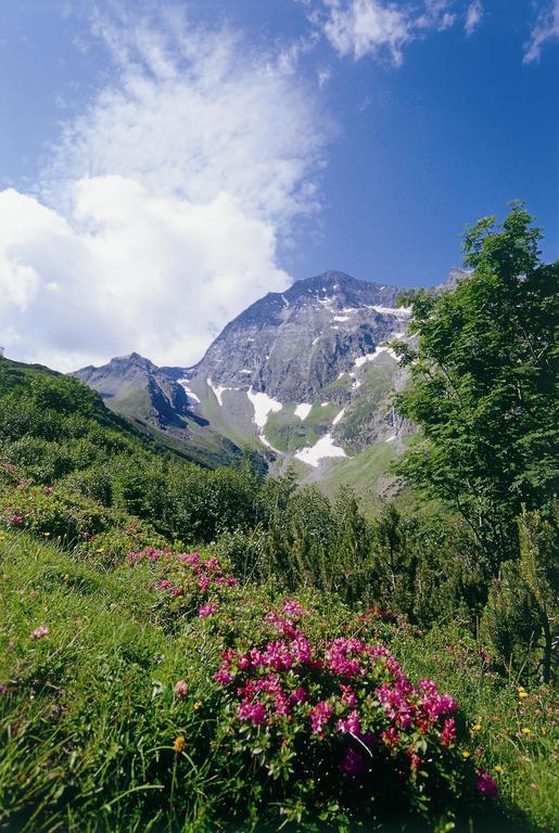 Apartment Hildegard Neustift im Stubaital Zimmer foto